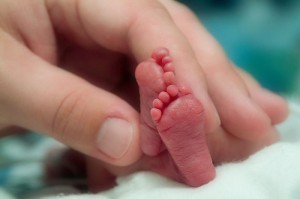 preemie-feet-300x199