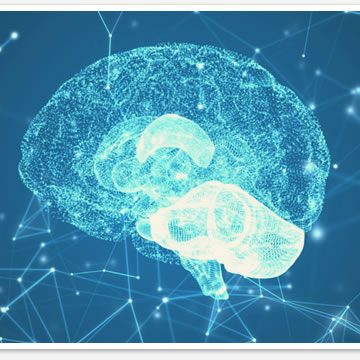 Neuropsicologia em Santo Andre