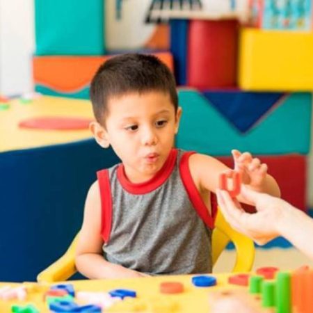 Curso de Formação ABA SP Brasil Analise do Comportamento Aplicada